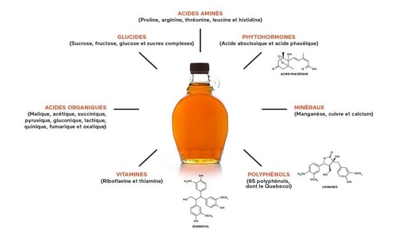 Read more about the article The composition of maple syrup